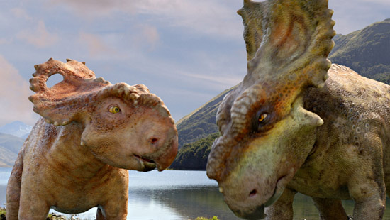 WWD-047 - Patchi, left, with his older brother Scowler.