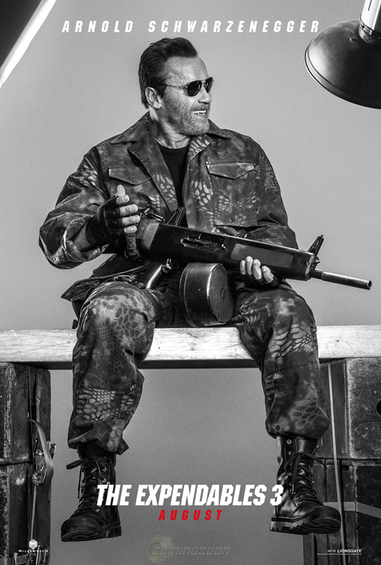 Expendables 3 Poster Arnold Schwarzenegger