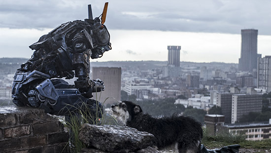1251623 - Chappie