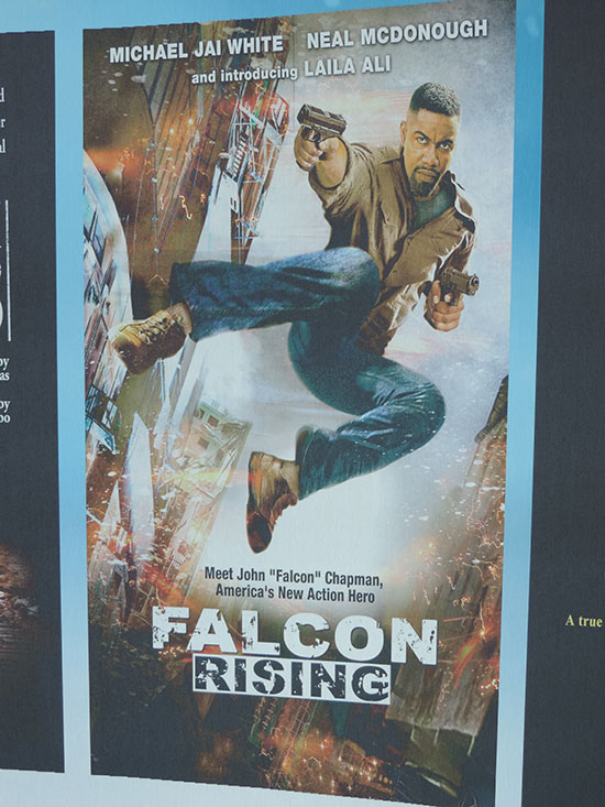 Falcon Rising Poster Photo