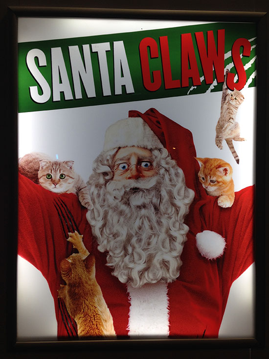 Santa Claws Poster Photo
